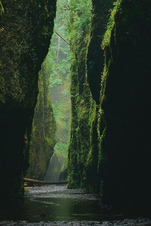 Alanya Green Canyon Boat tour with Lunch and Swimming Breaks - Language Support: You’ll Be Understood