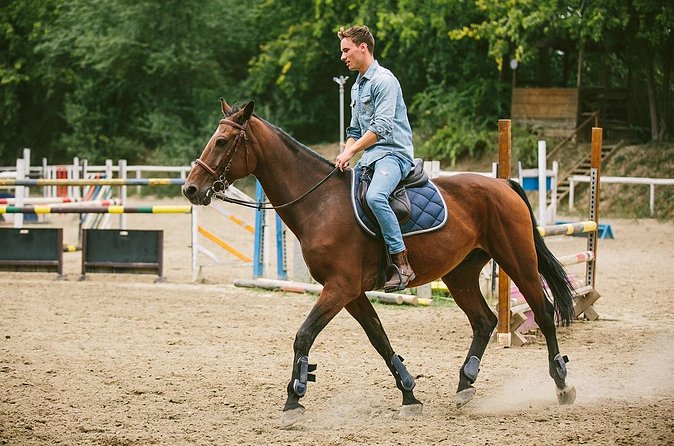 Alanya Horseback Riding Experience - Horses, Helmets, and the Safety Reality Check
