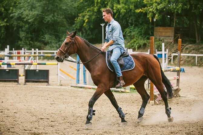 Alanya Horseback Riding Experience - Price and Value: What $55 Really Buys