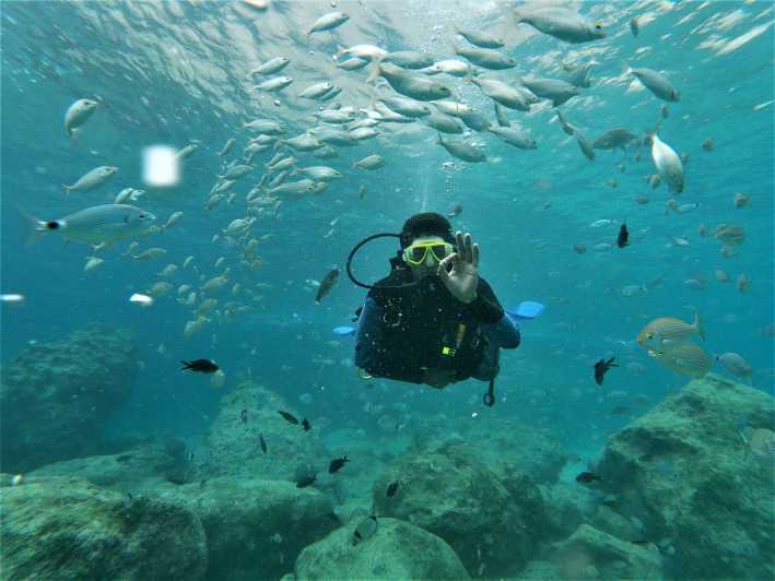 Antalya and Kemer: Full Day Scuba Diving Tour with Lunch - Key highlights worth knowing before you go