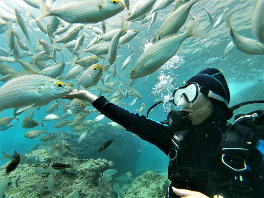 Antalya and Kemer: Full Day Scuba Diving Tour with Lunch - Antalya to Kemer by boat: first logistics, then the magic