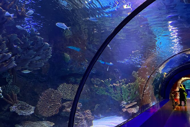 Antalya Aquarium and Face to Face Wax Museum Private Transfer - Private transfer value: what you’re paying for with Neris Tour