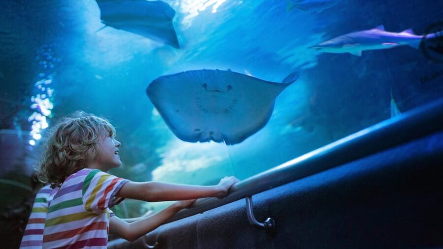 Antalya: Aquarium and Wax Museum Entry Ticket - Price and value: what $47 really buys you