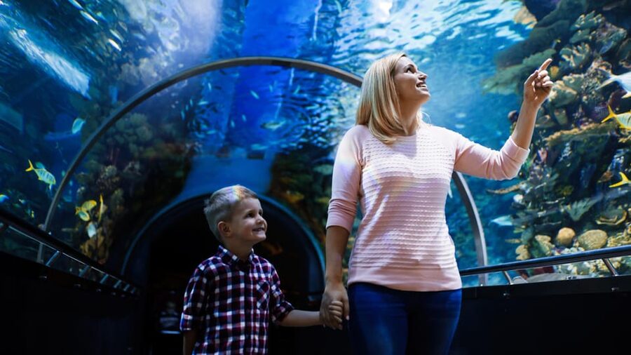 Antalya: Aquarium and Wax Museum Entry Ticket - Themed zones you’ll actually notice: reefs, rainforests, and Atlantis