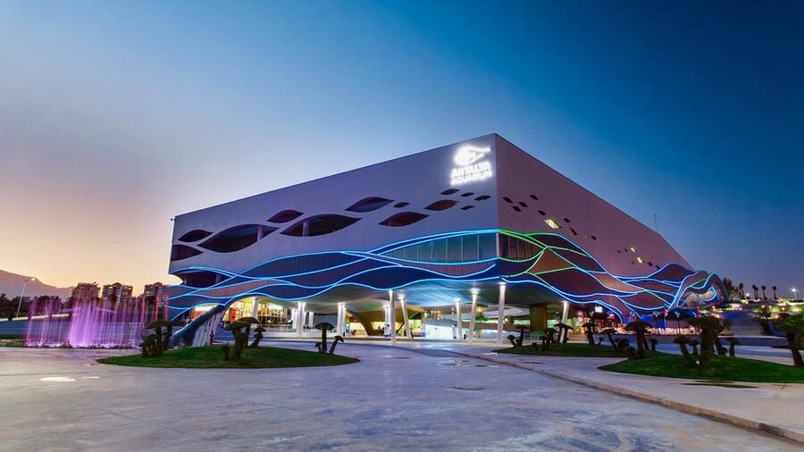 Antalya: Aquarium and Wax Museum Entry Ticket - Animal highlights: sharks, octopuses, crocodiles, and moray eels