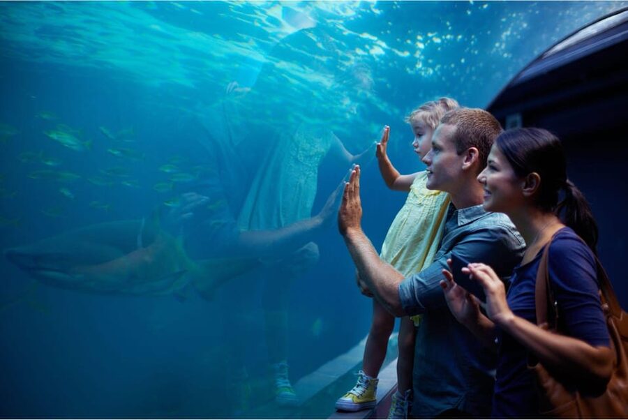 Antalya: Aquarium and Wax Museum Entry Ticket - Entering Antalya Aquarium: the record-setting sea tunnel walk