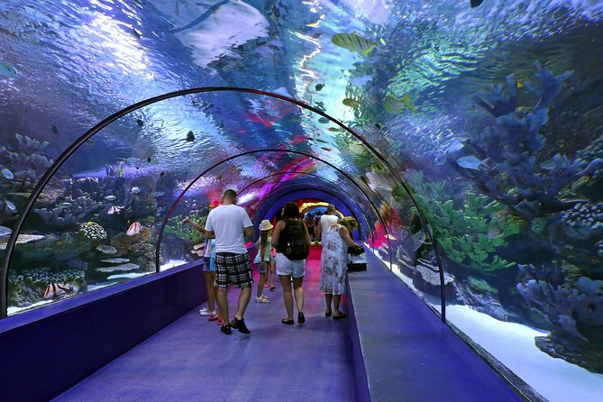 Antalya: Aquarium Ticket With Optional Transfer - Aquarium Ticket Value: what you’re really paying for in Antalya