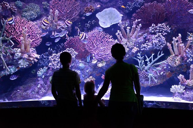 Antalya: Aquarium Ticket With Optional Transfer - Skip-the-line entry and the 3-hour flow inside the Aquarium