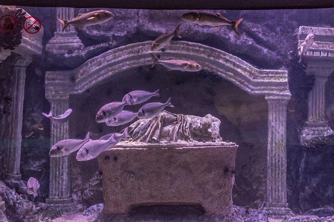 Antalya: Aquarium Ticket With Optional Transfer - Wild Park reptiles and Snow World: how to treat these as must-confirm extras