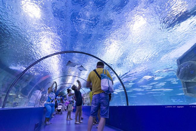 Antalya: Aquarium Ticket With Optional Transfer - Should you book this Antalya Aquarium ticket with optional transfer?