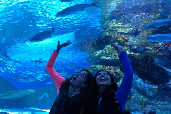 Antalya: Aquarium Ticket With Optional Transfer - Hotel pickup on Tuesdays and Fridays: where transfers help (and where they can trip you up)