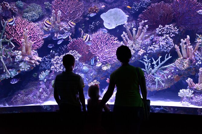 Antalya: Aquarium, Wax Museum & Combo Package Options - Inside Antalya Aquarium: Snow World, Ice Museum, WildPark, and Oceanride XD Cinema