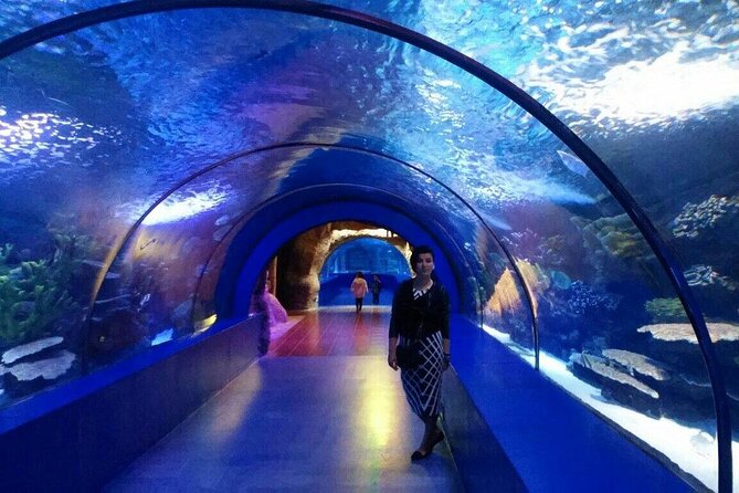 Antalya: Aquarium, Wax Museum & Combo Package Options - Should you book the Antalya Aquarium + Wax Museum combo?