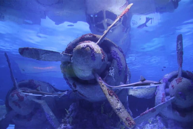 Antalya: Aquarium, Wax Museum & Combo Package Options - Optional upgrades: Snow World, Ice Museum, Tropical House, and XD Cinema