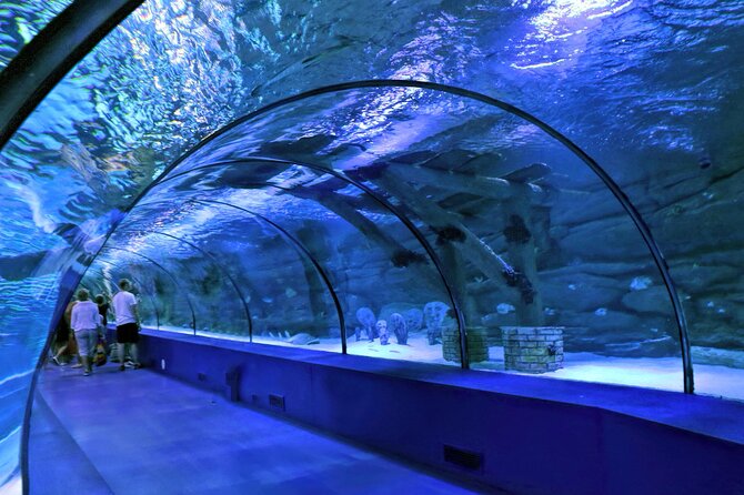 Antalya: Aquarium, Wax Museum & Combo Package Options - Entering the complex: timing, ticket flexibility, and the fastest start