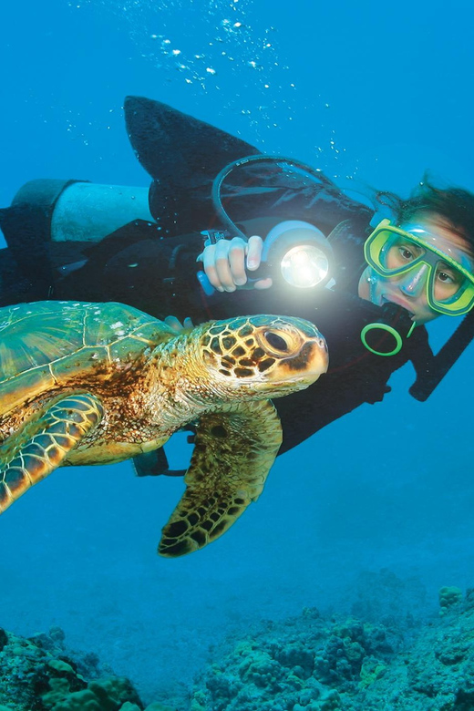 Antalya/ Belek Scuba Diving Tour With 2 Time Dive & Lunch - Two underwater sessions from Antalya’s coast