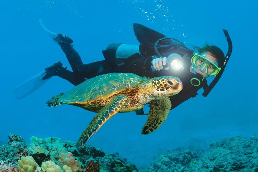 Antalya/ Belek Scuba Diving Tour With 2 Time Dive & Lunch - Lunch on the boat: fuel and downtime without rushing