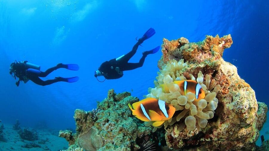 Antalya/ Belek Scuba Diving Tour With 2 Time Dive & Lunch - Who should book, and who should skip this one