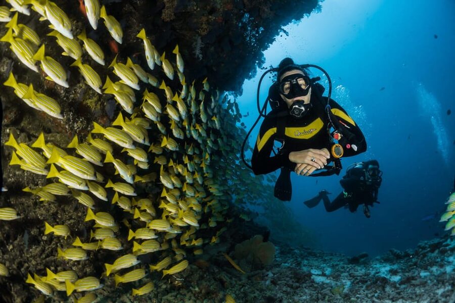 Antalya/ Belek Scuba Diving Tour With 2 Time Dive & Lunch - Hotel pickup, comfortable boat time, and how the day flows