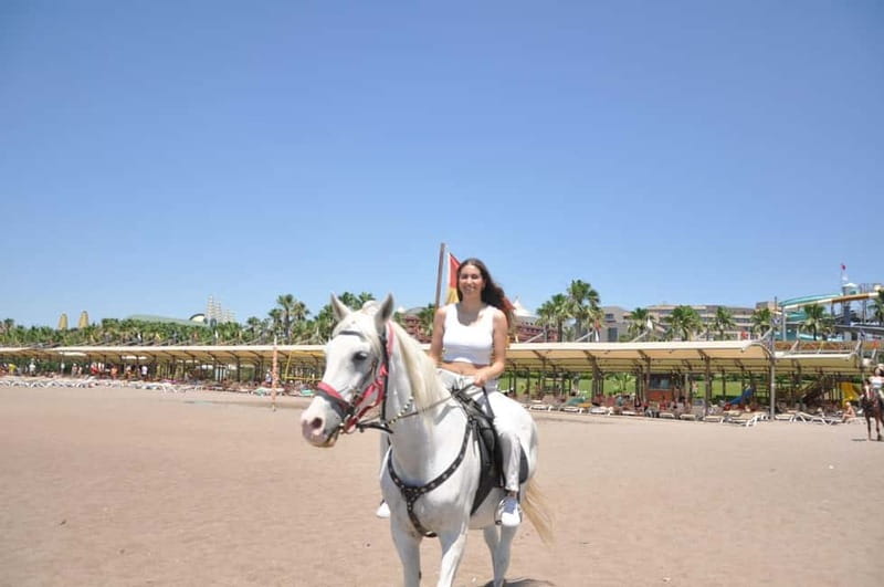 Antalya: Deniz Molalı At Safarisi - 45-minute horse-drawn carriage ride: a slower, smoother start