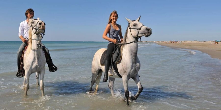 Antalya: Guided ATV and Horse Riding Safari in Lara - Potential hiccups to plan for: equipment and expectations