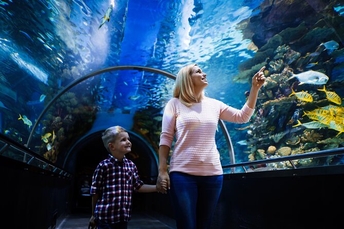 Antalya Half-Day Private City Tour with Aquarium Visit - A private guide makes the difference: Jacob and Rabia’s style