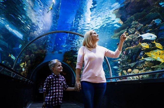 Antalya Half-Day Private City Tour with Aquarium Visit - Price and value: what $180.04 per person is really covering