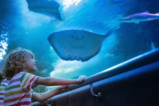 Antalya Half-Day Private City Tour with Aquarium Visit - Hotel Pickup and the Pace of a 4-Hour Private Tour