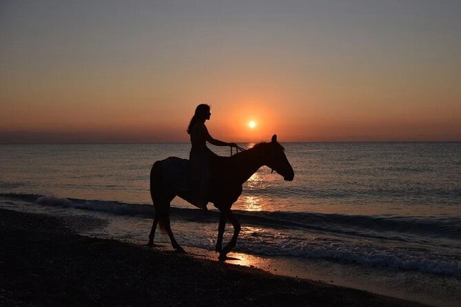 Antalya Horse Riding On Beach And Through The Forests For 2 Hours - Key highlights at a glance