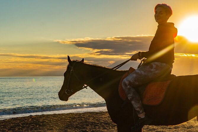 Antalya Horse Riding On Beach And Through The Forests For 2 Hours - Price and Value: Is $60 Fair for This 3-Hour Experience?
