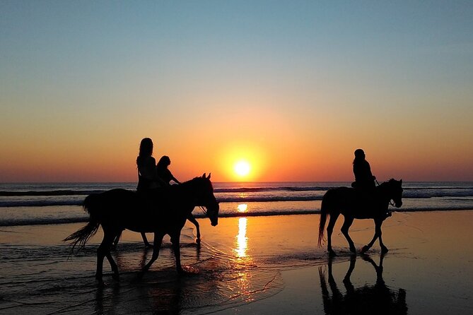 Antalya Horse Riding On Beach And Through The Forests For 2 Hours - Sunrise and Sunset Upgrades: When the Light Makes the Ride Worth Waking Up