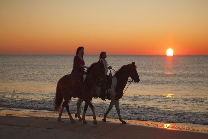 Antalya Horse Riding On Beach And Through The Forests For 2 Hours - Photo and Extras: What’s Included, What Isn’t, and How to Avoid Sticker Shock