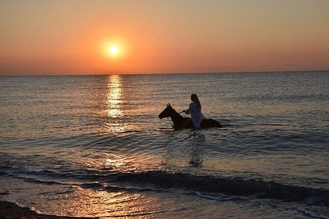 Antalya Horse Riding On Beach And Through The Forests For 2 Hours - Getting There: McDonald’s AntalyaBarbaros, Pickup, and Timing You Should Confirm