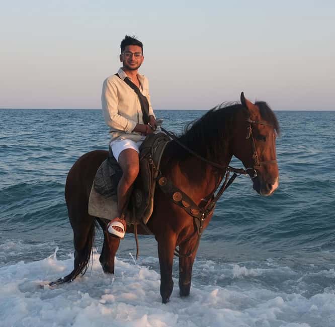 Antalya: Horse Riding on Sea and in the Forest - Who This Tour Fits Best (and who should skip it)