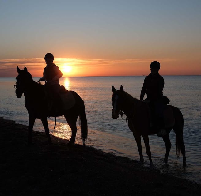 Antalya: Horse Riding on Sea and in the Forest - Timing and Group Size: Why small groups make it feel easier