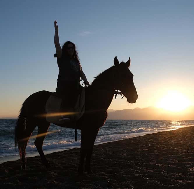 Antalya: Horse Riding on Sea and in the Forest - Pickup, Getting There, and the WhatsApp Meeting Tip