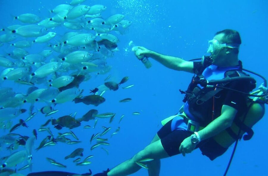 Antalya/ Kemer/ Belek Scuba Diving With Lunch & Transfer - Two underwater sessions with training built in