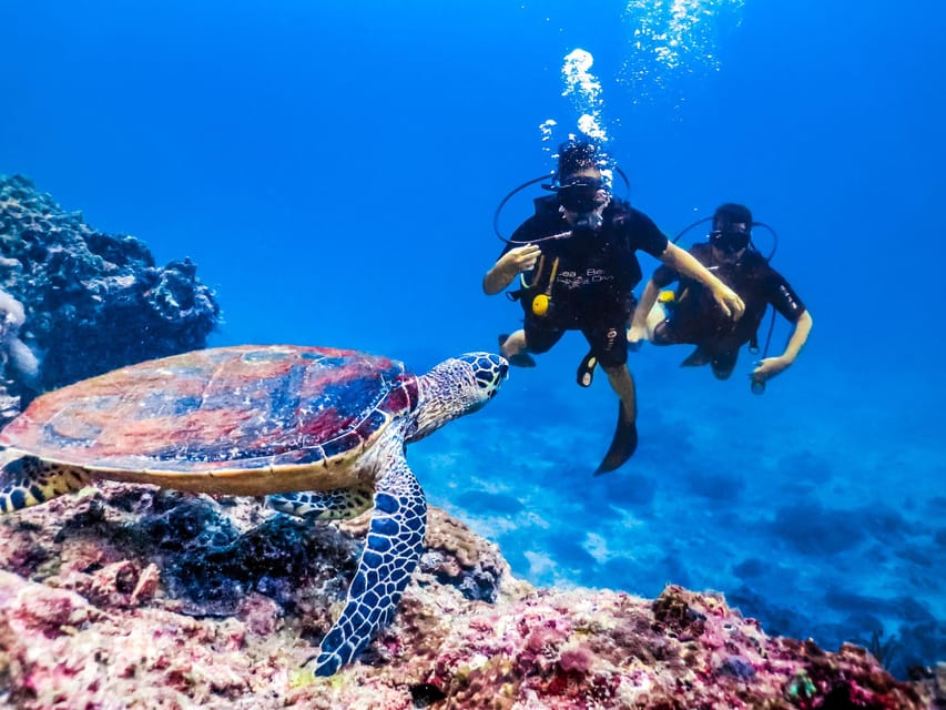 Antalya/ Kemer/ Belek Scuba Diving With Lunch & Transfer - What the instructors actually cover before you go under