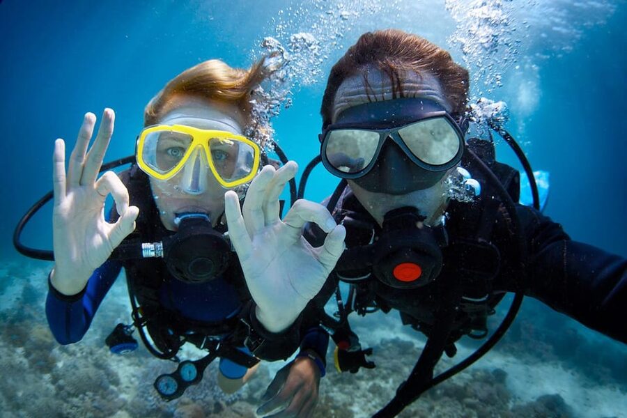 Antalya/ Kemer/ Belek Scuba Diving With Lunch & Transfer - Marine life you might see in Kemer’s clear water