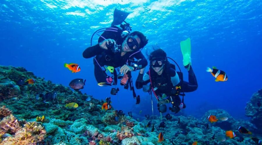 Antalya/ Kemer/ Belek Scuba Diving With Lunch & Transfer - Gear, transfers, and insurance: the practical value you’re buying