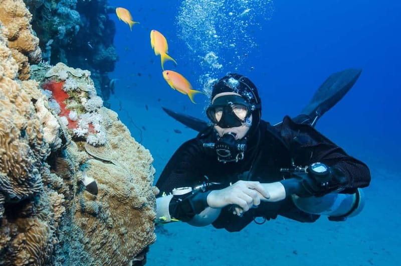 Antalya/Kemer: Scuba Diving Experience with 2 Dives & Lunch - Where this scuba try-out fits in Kemer’s best days