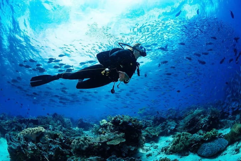 Antalya/Kemer: Scuba Diving Experience with 2 Dives & Lunch - Ay ışığı plaj: the second stop and a chance to settle in