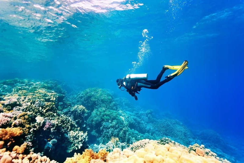 Antalya/Kemer: Scuba Diving Experience with 2 Dives & Lunch - Starting out: hotel pickup, marina check-in, and the boat cruise