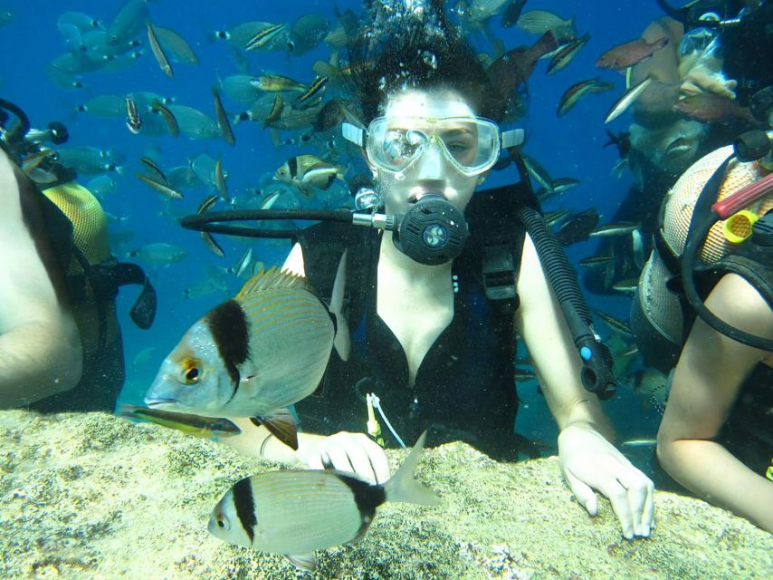 Antalya/Kemer: Scuba Diving Experience with Lunch & Pick up - Key highlights