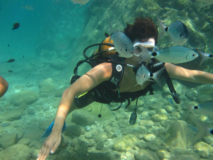 Antalya/Kemer: Scuba Diving Experience with Lunch & Pick up - Kiris Bay: deeper water and the fun parts on the way back