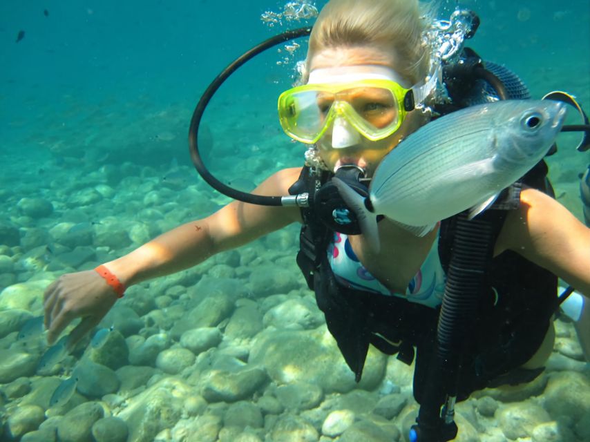 Antalya/Kemer: Scuba Diving Experience with Lunch & Pick up - Price and value: why $29 can work (and when it might not)