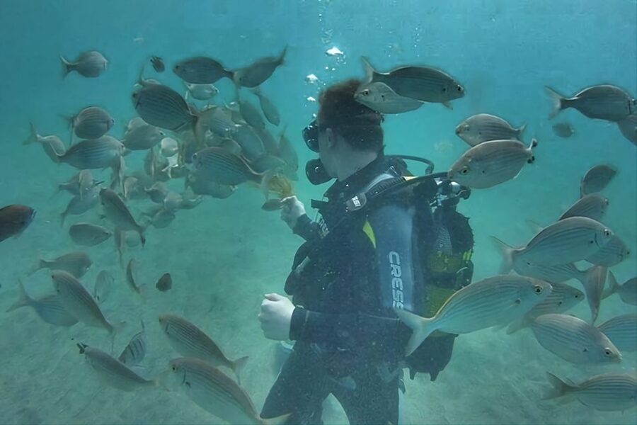 Antalya/Kemer: Scuba Diving Experience with Lunch & Pick up - Getting there and surviving the in-between parts
