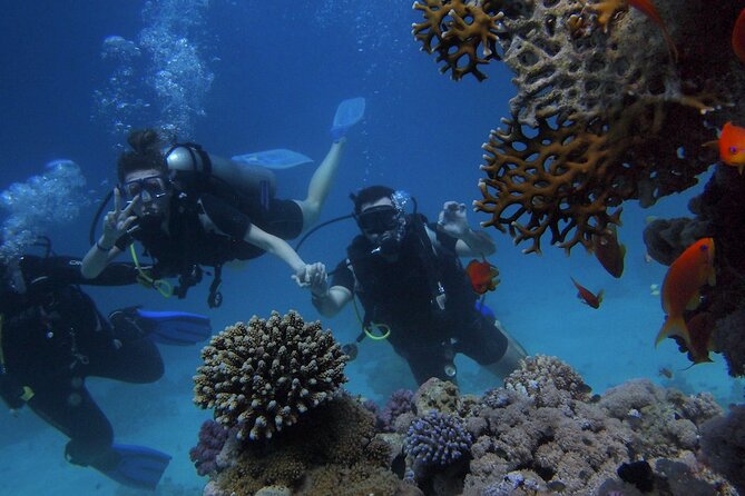 Antalya/Kemer: Scuba Diving with Pickup, Lunch, and 2 Dives - Key Points Before You Go