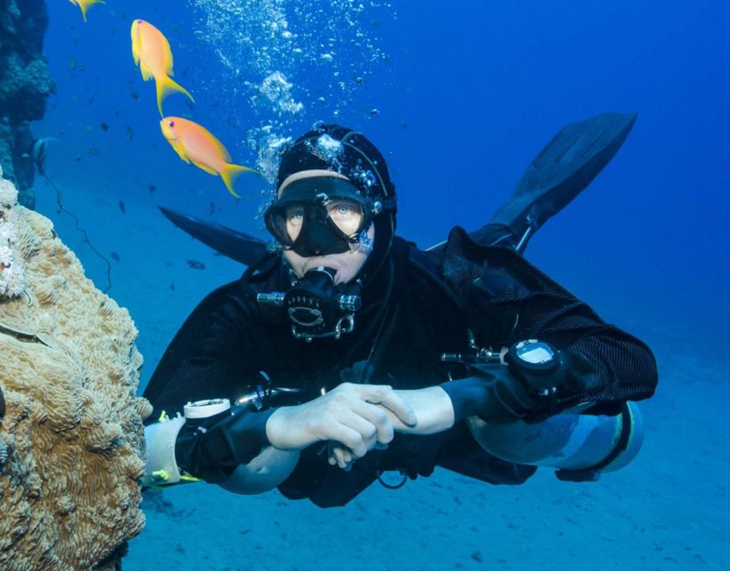 Antalya/Kemer: Scuba Diving with Pickup, Lunch, and 2 Dives - What You See Underwater: Reefs, Fish, and a Shipwreck Chance