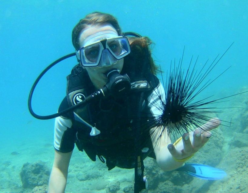 Antalya/Kemer: Scuba Diving with Pickup, Lunch, and 2 Dives - Lunch Onboard: Simple Food, Solid Refuel